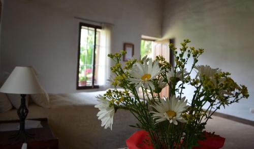 . Hacienda Santa María