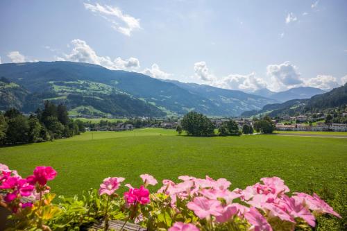 Hotel Pension*** Wiesenhof – Kaltenbach, IL