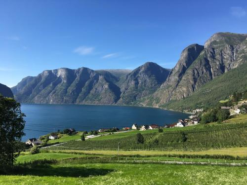 Winjum Apartments Aurland Stegastein - Aurland