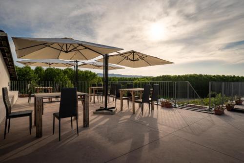 Agriturismo Vitae di Langa