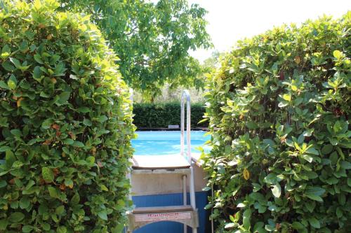 Swimmingpool, La casa di Eva in Castel Viscardo