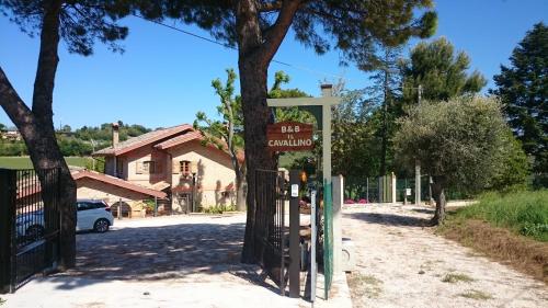 B&B Il Cavallino 2