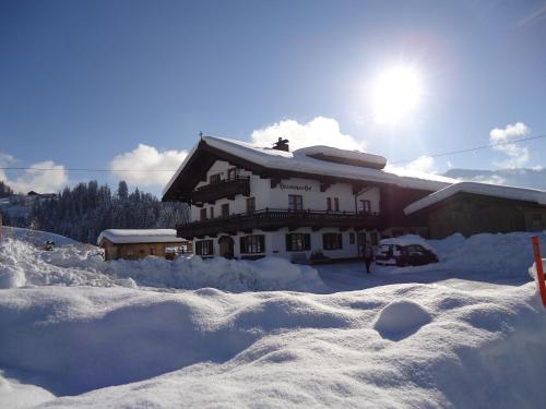 Hinterlechnerhof, Westendorf (Foto 2)