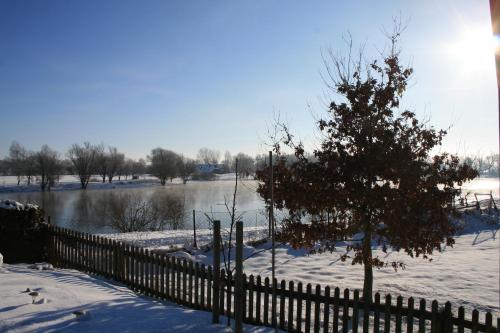 Hotel Seeblick garni