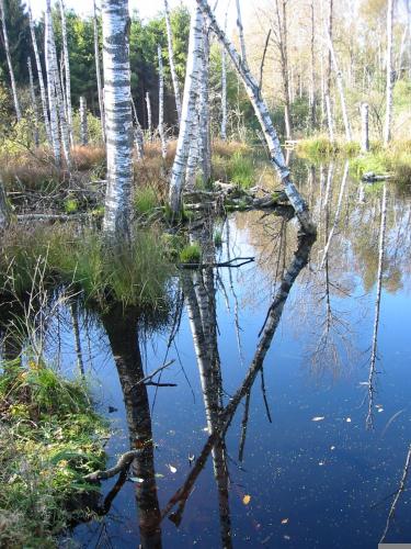 周邊環境, Gäste- und Tagungszentrum im Don Bosco Kloster Benediktbeuern (Gaste- und Tagungszentrum im Don Bosco Kloster Benediktbeuern) in 貝內迪克特博伊埃爾恩