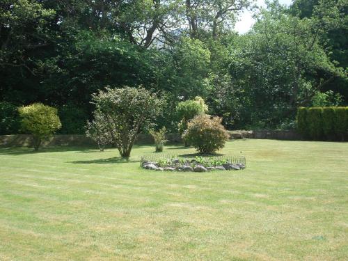 Thistle Cottage - image 5