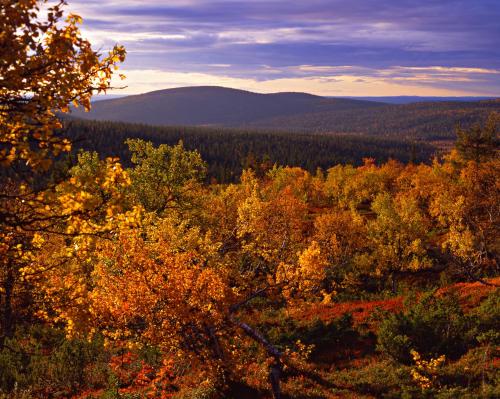 Lapland Hotels Sirkantähti