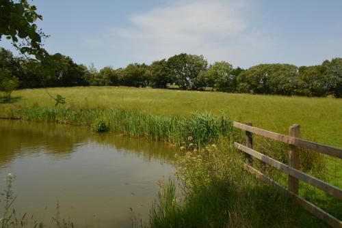 Woodland Cottage - image 7