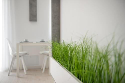 Apartment with Balcony image 7