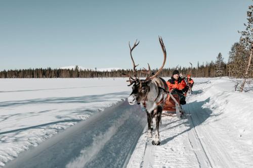 Lapland Hotels Ylläskaltio - image 4