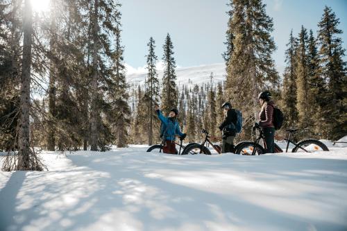 Lapland Hotels Ylläskaltio - image 7