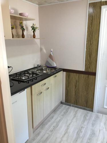 Apple Tree Family Home (ECO) - image 2