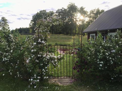 Sjöbacken Gård - image 10