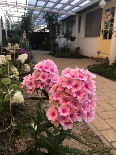 Karolina Vendégház