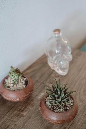 Enchanting Concón Enchanting Concón