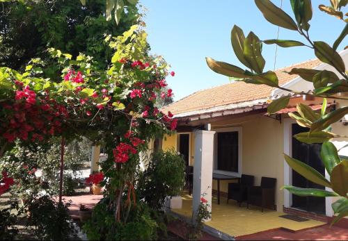  Nikolas House Afionas Corfu in Afionas