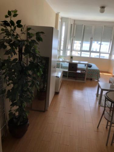 Estudio Hoyo - main image
