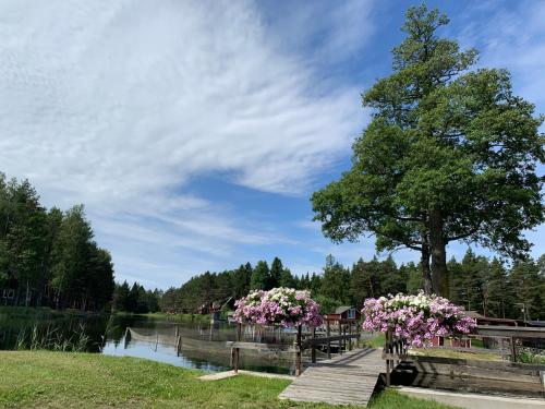 Kert, Pidula Forell in Kallaste (Saaremaa)