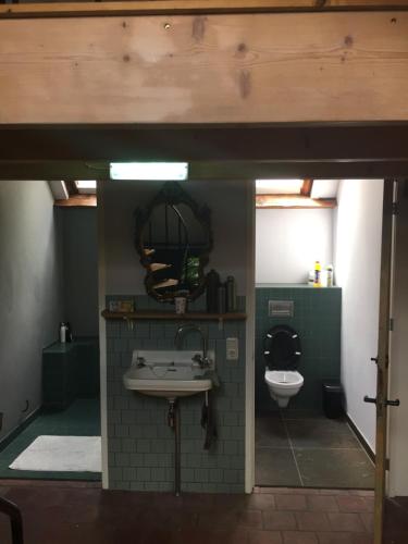 Bathroom, De Distelweide in Holsloot