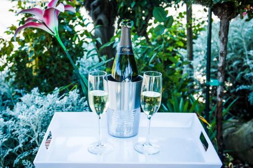 แอดิเลด อินน์ (Adelaide Inn) in ปาโซโรเบิลส์ (CA)