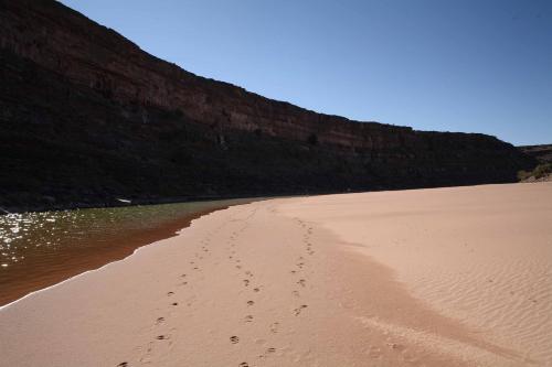 鱼河山林小屋 鱼河山林小屋