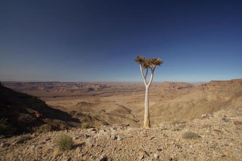 鱼河山林小屋 鱼河山林小屋