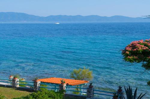  Kiparissi Villa Halkidiki in Ierissós
