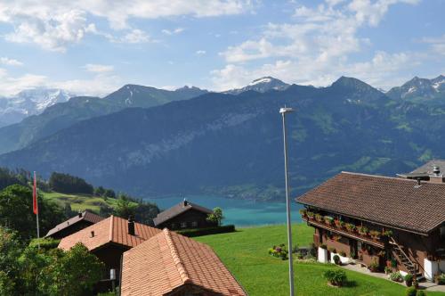 App. Seeblick Top of Interlaken - image 14