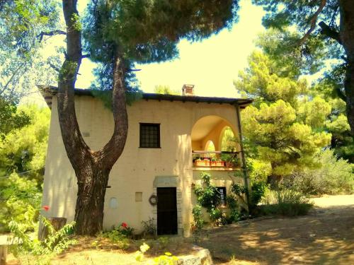 Koumaria gîte à louer Skíathos