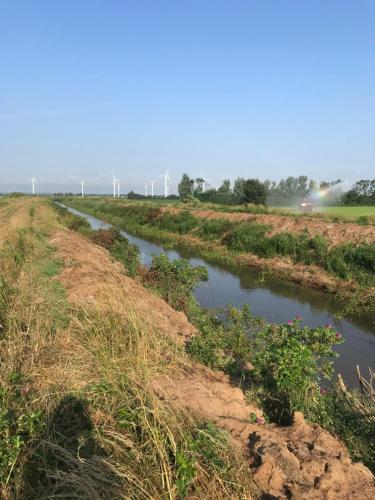 Sdr. Bork in Sonder Bork