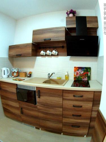 One-Bedroom Apartment image 10