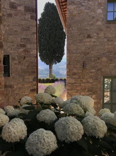 Borgo Del Cabreo - main image