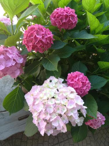 伊尔中庭诺娜住宿加早餐旅馆