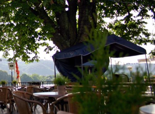 Εστιατόριο, Hotel Zur Kripp in Κόμπλεντζ