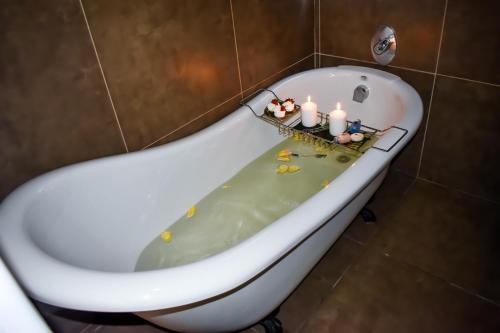 Blue Sparrow Guest House - Kolam air panas