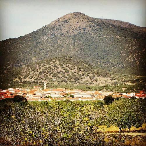 Casa rural Hnas Corral in Almoharin