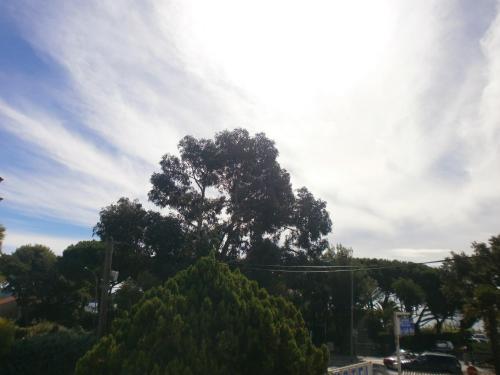 Hotel Le Golfe Bleu - image 3
