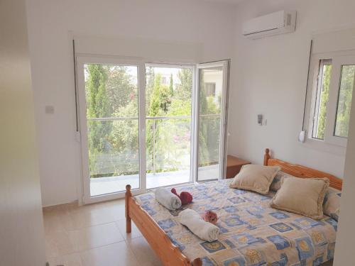 Paphos Apartments