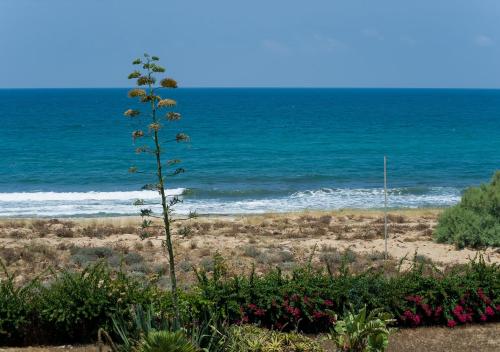 Pogled, Ha-aliya Sea View in Nahariya