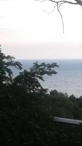 Guest House Villa Nadezhda - image 8