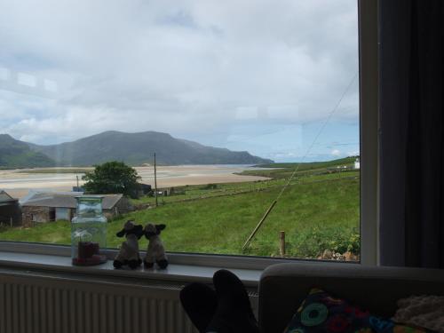 สภาพแวดล้อมโดยรอบ, The Lookout Ardara in คาร์นีย์