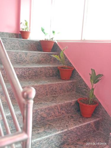 Hotel Aarjan And Restaurant – Pokhara, FL