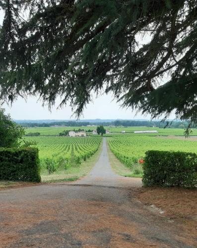 . A L'OMBRE DE LA TREILLE -Proche Saint-Emilion