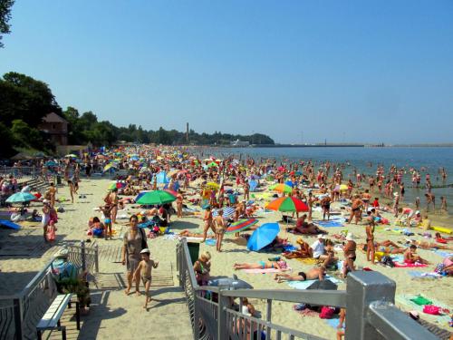 Cruise Hotel - image 11