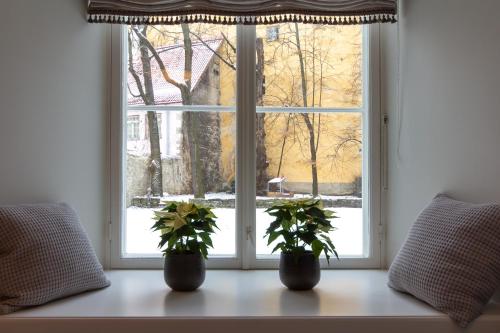 Exclusive Charm of the Old Tallinn, Tallin (foto 6)