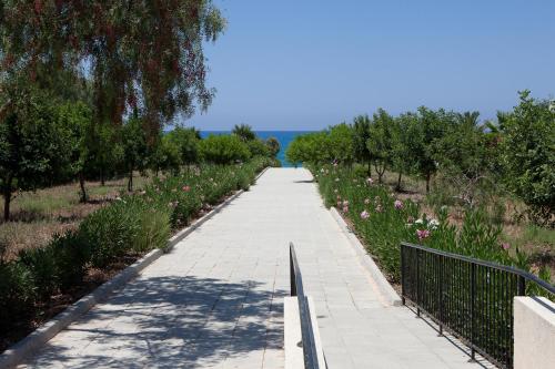 Eliofos Elegant Maisonettes - image 12