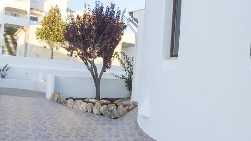 Casa Camomila
