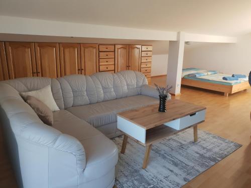 Apartment Luca