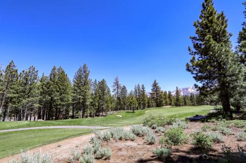 Gray Stone 2088 Holiday home - image 3