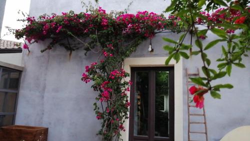 Il Melograno dell'Etna gîte à louer Aci Bonaccorsi